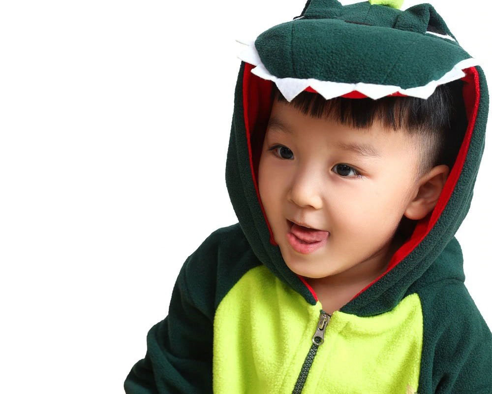 Dinosaur Onesie Pajamas For Boys & Girls Quality Animal Costume For Sale