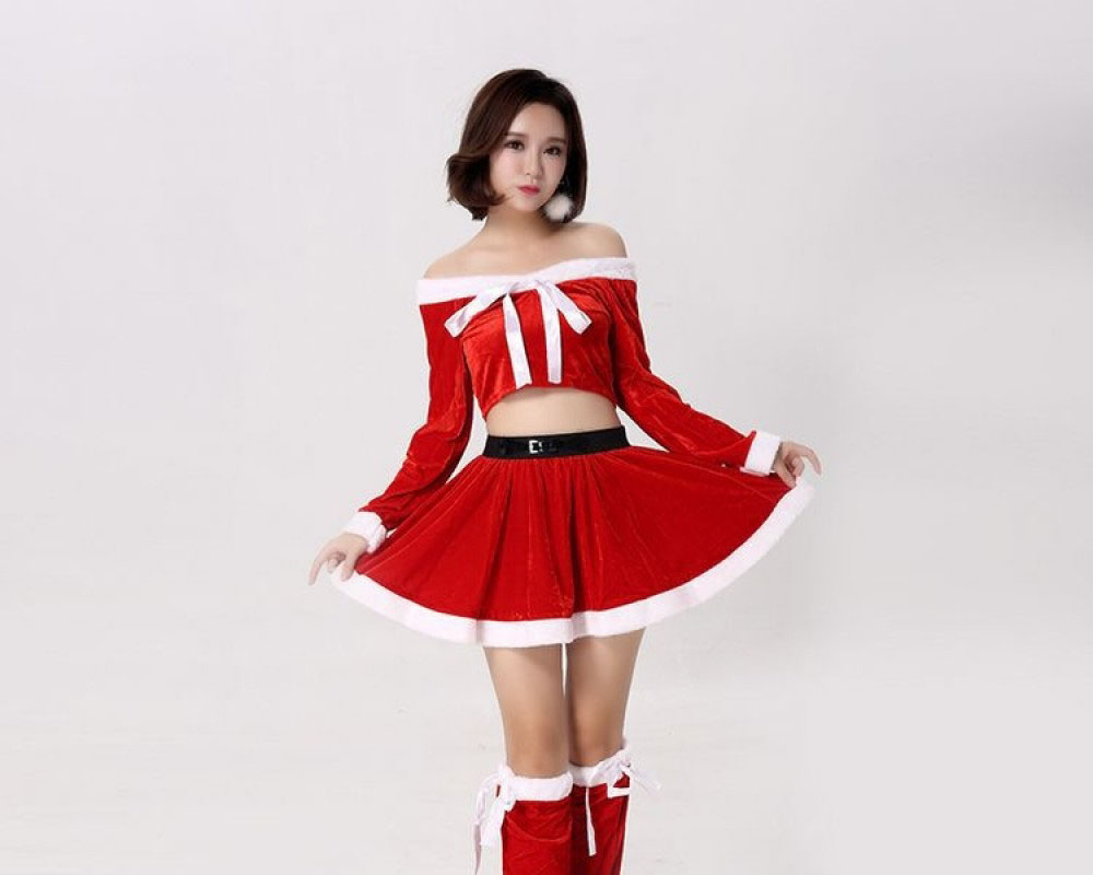 Sexy Christmas Costume Womens Santa Dress